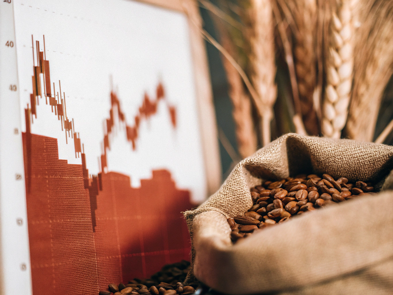 Soft-Commodities-Trading-Capitalizing